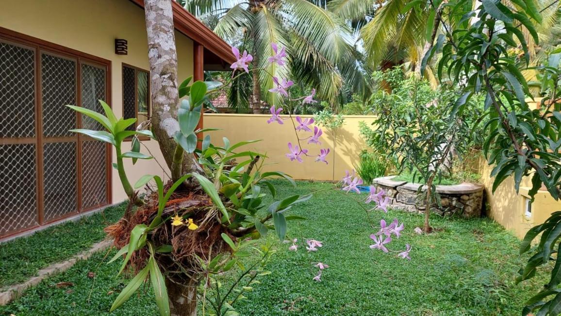 El-Nivasa Villa In Weligama Bagian luar foto